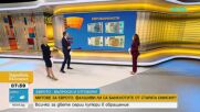 Митове за еврото: Колко серии евробанкноти са в обращение и имат ли право търговци да отказват да ги вземат