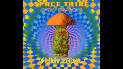 Space Tribe - In The Hands Of The Shaman