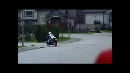 Реклама - Suzuki Gsxr 1000 С куче