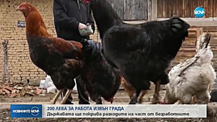 СОЦИАЛНО СТИМУЛИРАНЕ: 200 лева месечно, ако работиш на 50 км от дома