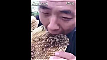 Кой и как яде мед