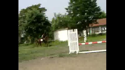 21.05.2008
