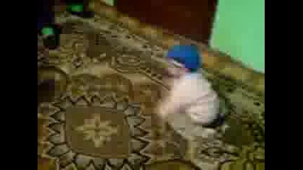 bebe rapar