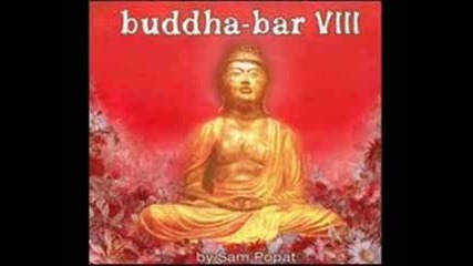 Buddha Bar Viii - Shpongle