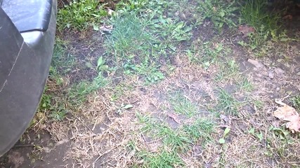 Wp_20151101_11_19_44_pro