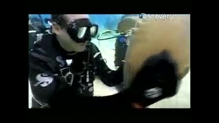 Рискът на професията адреналинът на Max