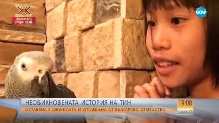 Българско семейство отглежда изоставено в джунглата момиченце