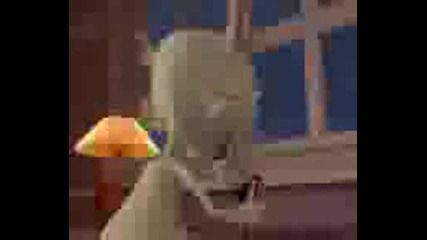 Babyrattemorgenster.mp4