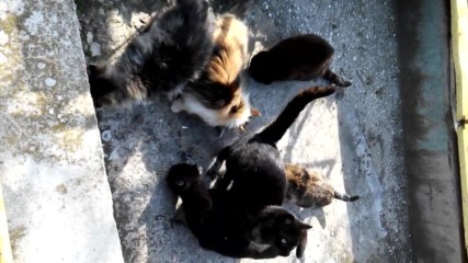 Vid_20170318_150600