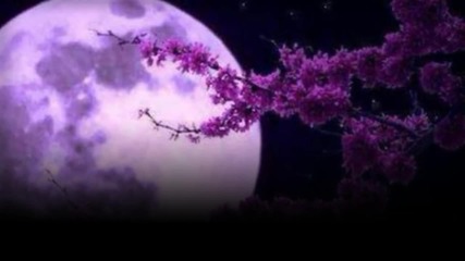 Beth Hart and Joe Bonamassa - Your Heart Is As Black As Night