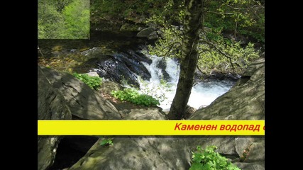 2006 07 24 - 02 Rezervat Stara reka
