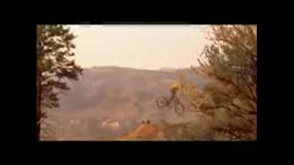 Downhill Free Style