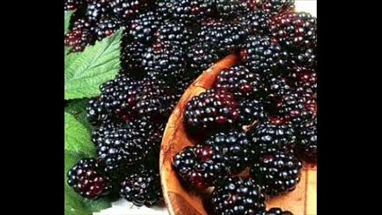 Пиано бар "кирка"- Къпини