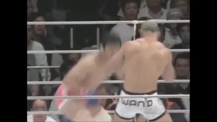 Wanderlei Silva Highlights 2013