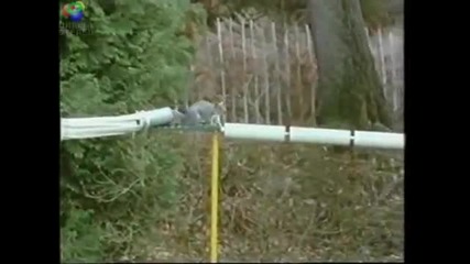 Мисията невъзможна!? - не и за катерицата!