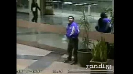 Kakво е това ... смелост или глупост ? 