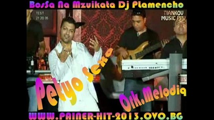 Ork Melodiq Petyo Sexa 2013 Dj Plamencho