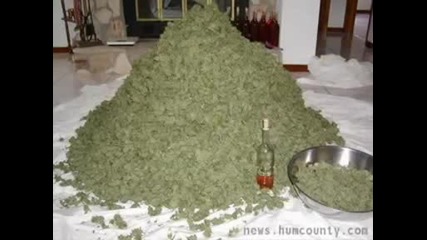 Marijuana Song Cypress Hill