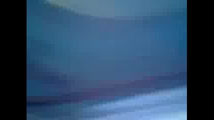 Видео0059