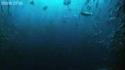 Underwater Armageddon - Natures Great Events: The Great Tide