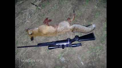 Лов на хищници 2009