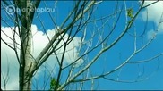 Даяна 2012 - Сделка или не (official Video) H D