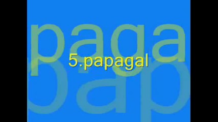 Top 10 - doma6ni jivotni