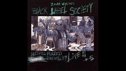 Black Label Society - Blood in the Wall