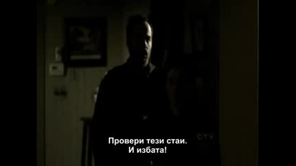 The Vampire Diaries S01e17 + Bg Subs 