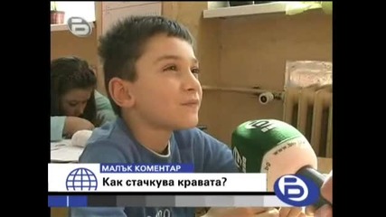 bTV 13.02.2008 - Малък коментар Как стачкува кравата ? xD