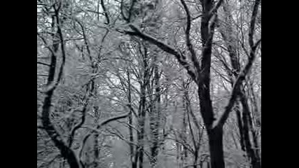 Narnia Winter Wonderland
