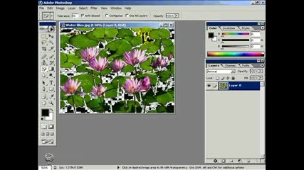 Photoshop
