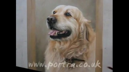 Как се рисува куче--златен Ретривър