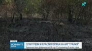 Пожар до магистрала „Тракия”, временно беше ограничено движението на автомобили