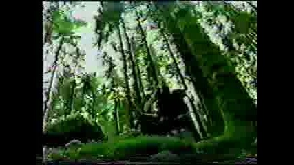 Immortal - Call Of The Wintermoon