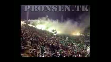 Panathinaikos Gate 13