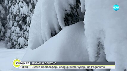 "Дотам и обратно": Зимно фотосафари сред дивите чукари на Родопите