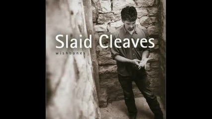 Slaid Cleaves - Drinkin Days