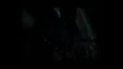 dmc 2