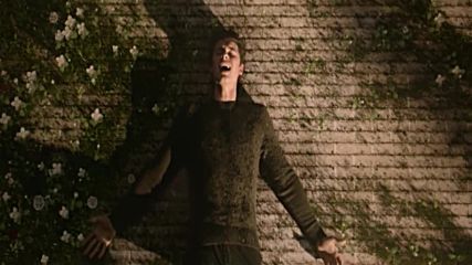 Shawn Mendes - In My Blood