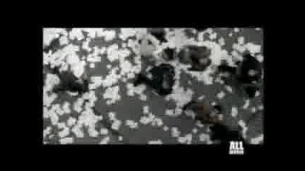 Gianna Nannini - Grazie