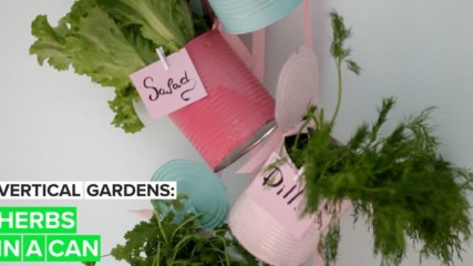 Vertical Gardens: Herbs in a Can