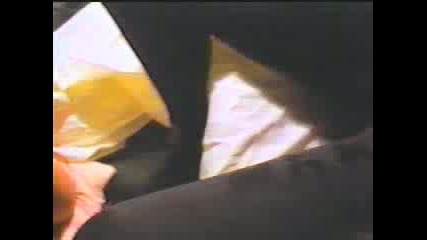 Diamanda Galas - Scream Of Love