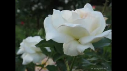 Paul Mauriat - Falling in love