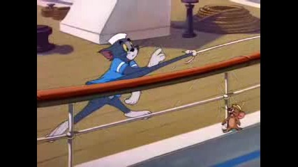 Tom And Jerry - Crwise Cat