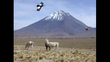 el condor pasa
