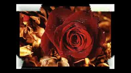 Mariah Carey - Without You