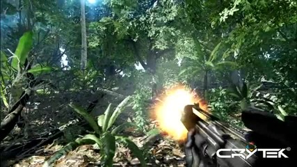 Crysis - Directx 9 Vs. Directx 10 Jungle