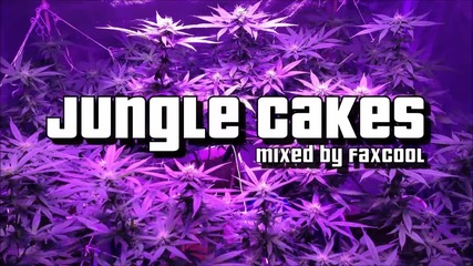 Dnb Mix - Drum And Bass-reggae Jungle [vol.22] (by faxcool) Hd