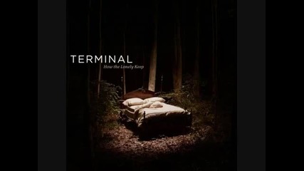 terminal-dark